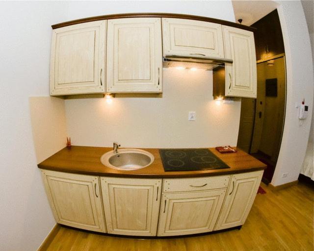 Apartament Kopernik Krakow Dış mekan fotoğraf